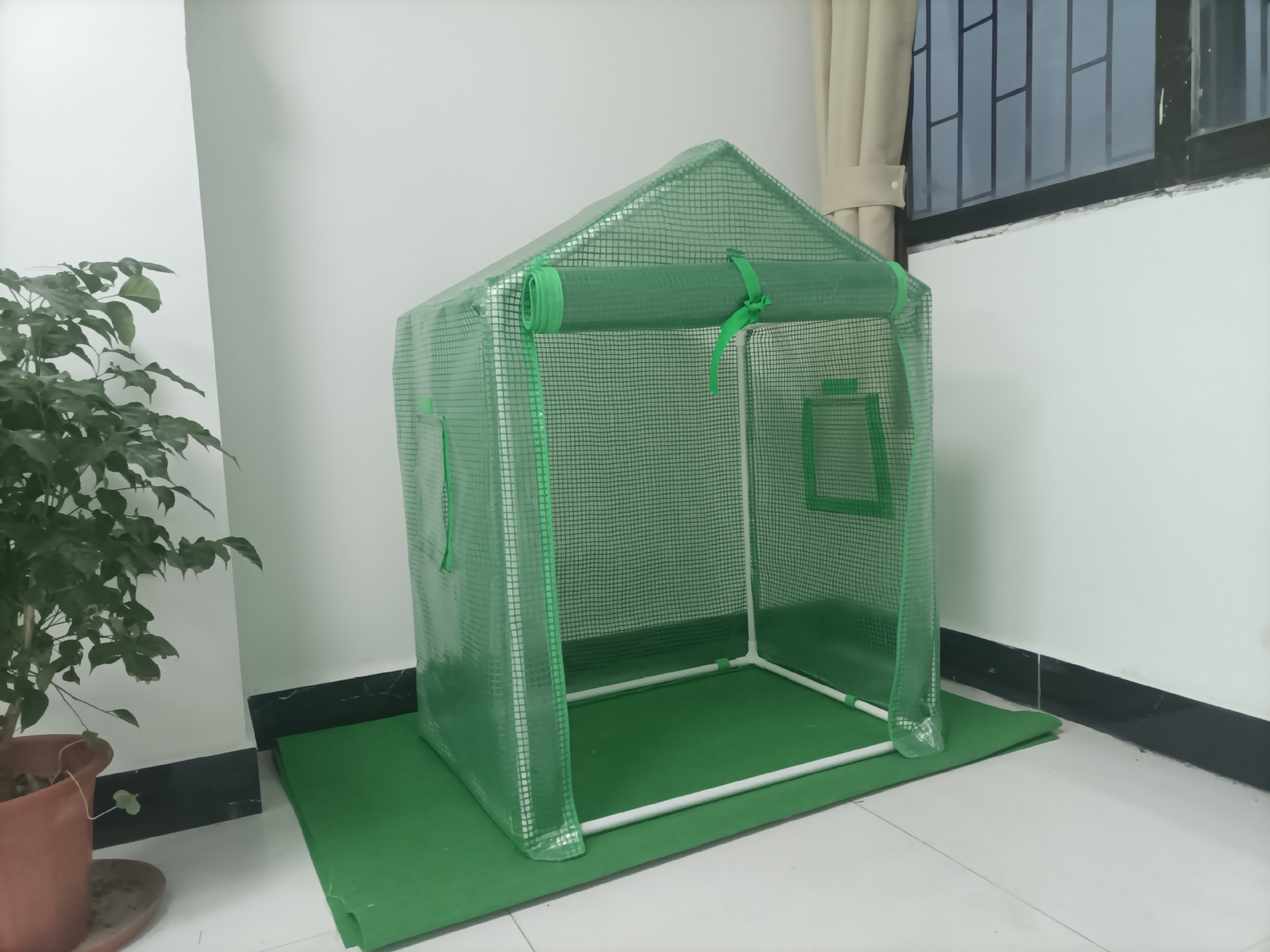 Green greenhouse