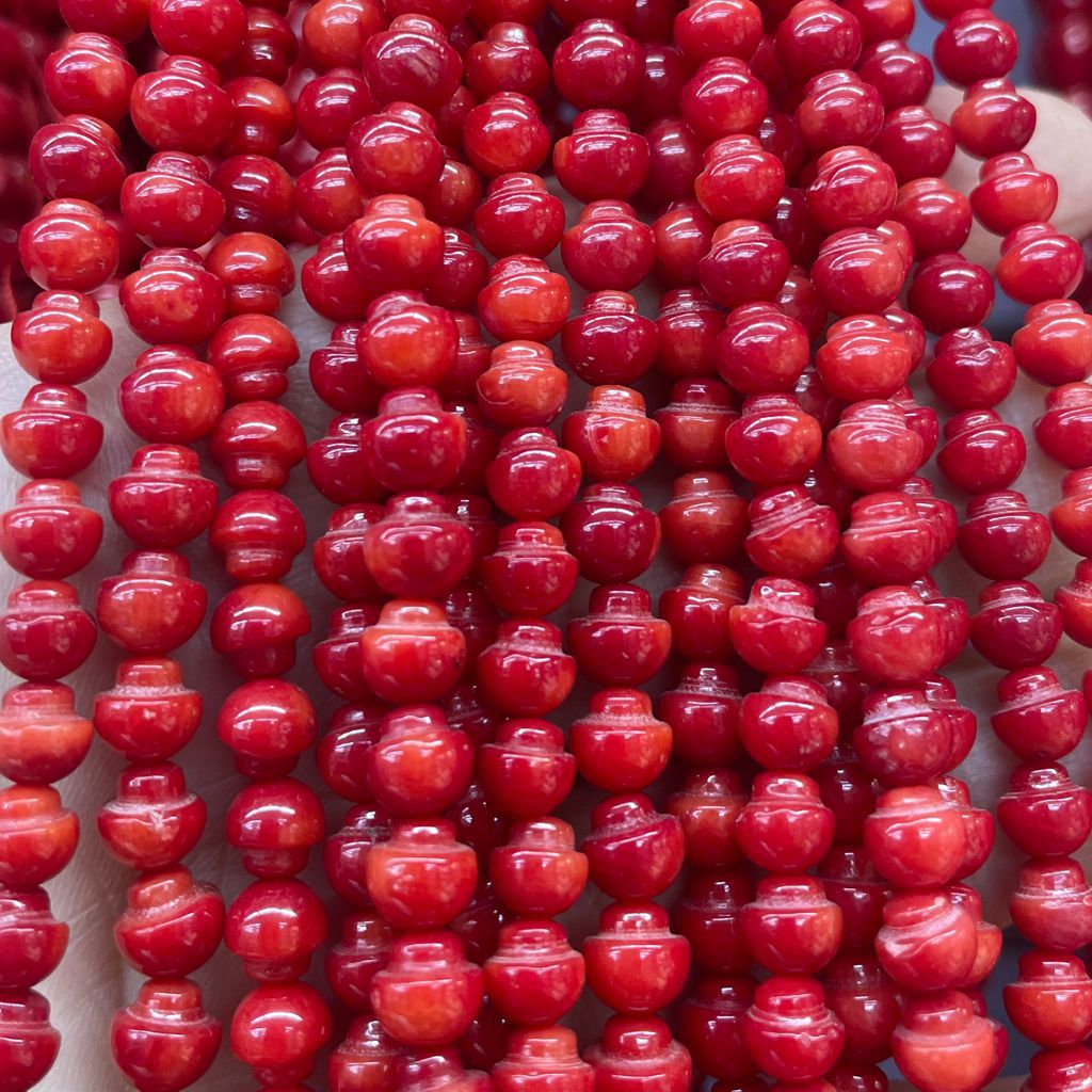 2:Single head optimized coral