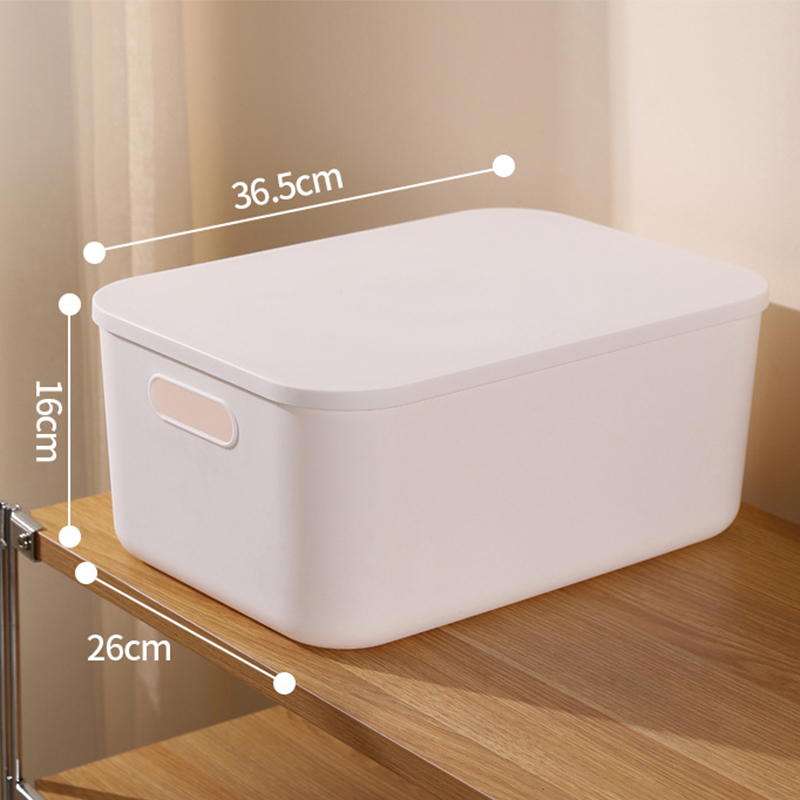 High Medium Ivory White