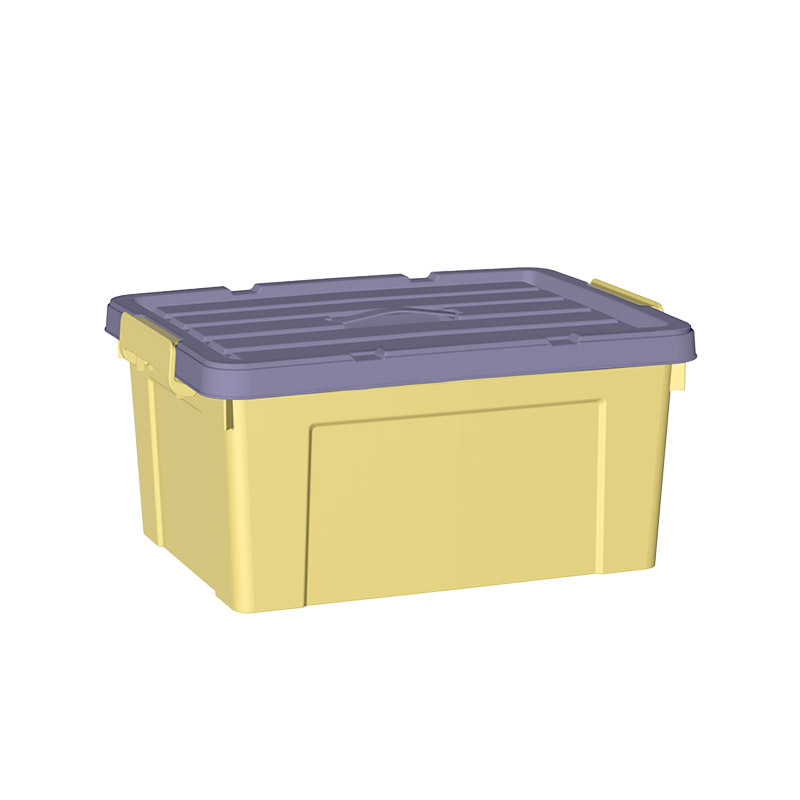Violet cover yellow box color
