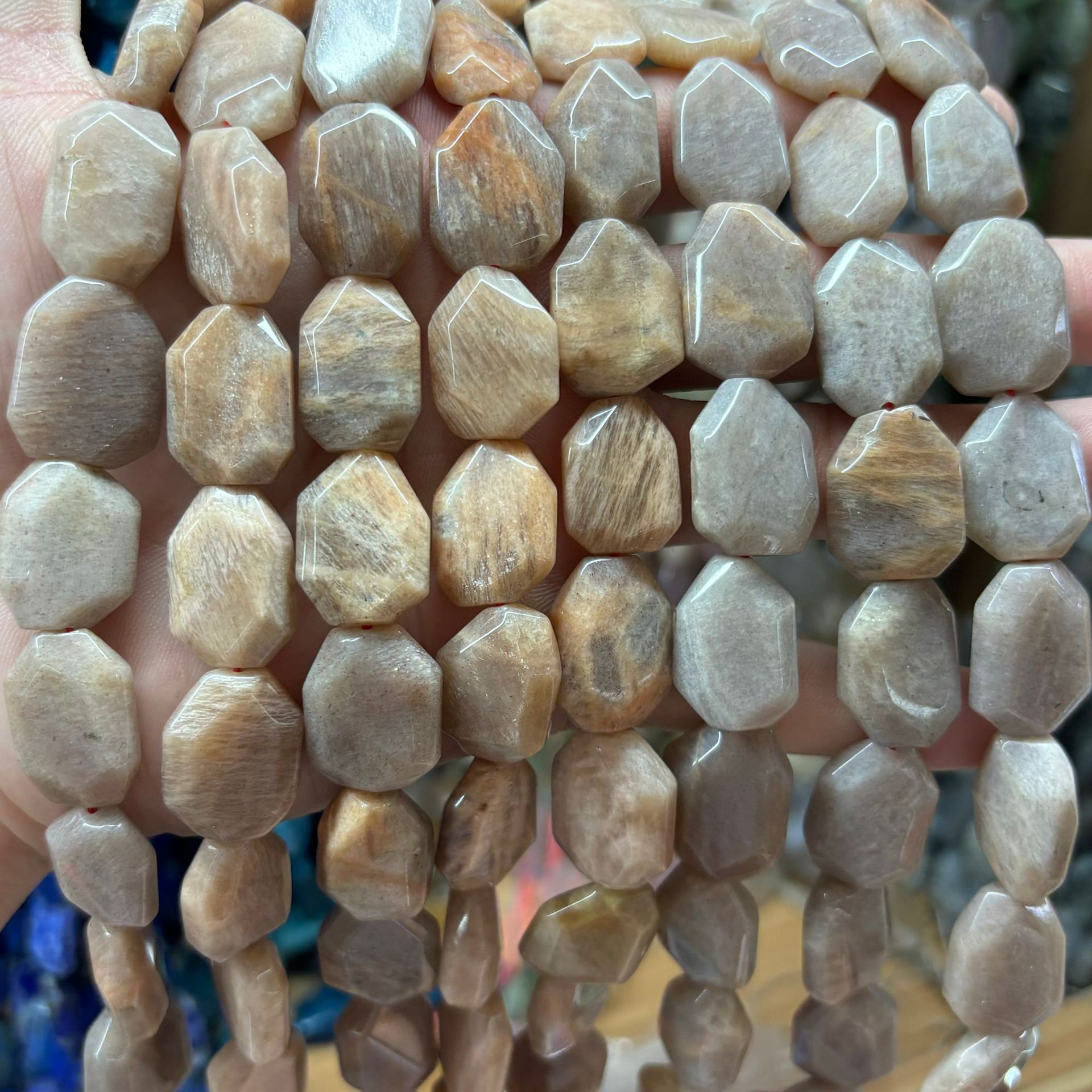 12:Fossil