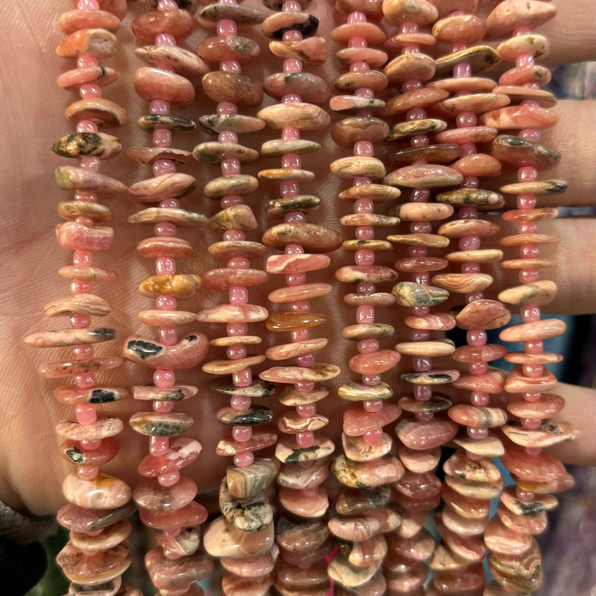 13 Argentinian red stripe