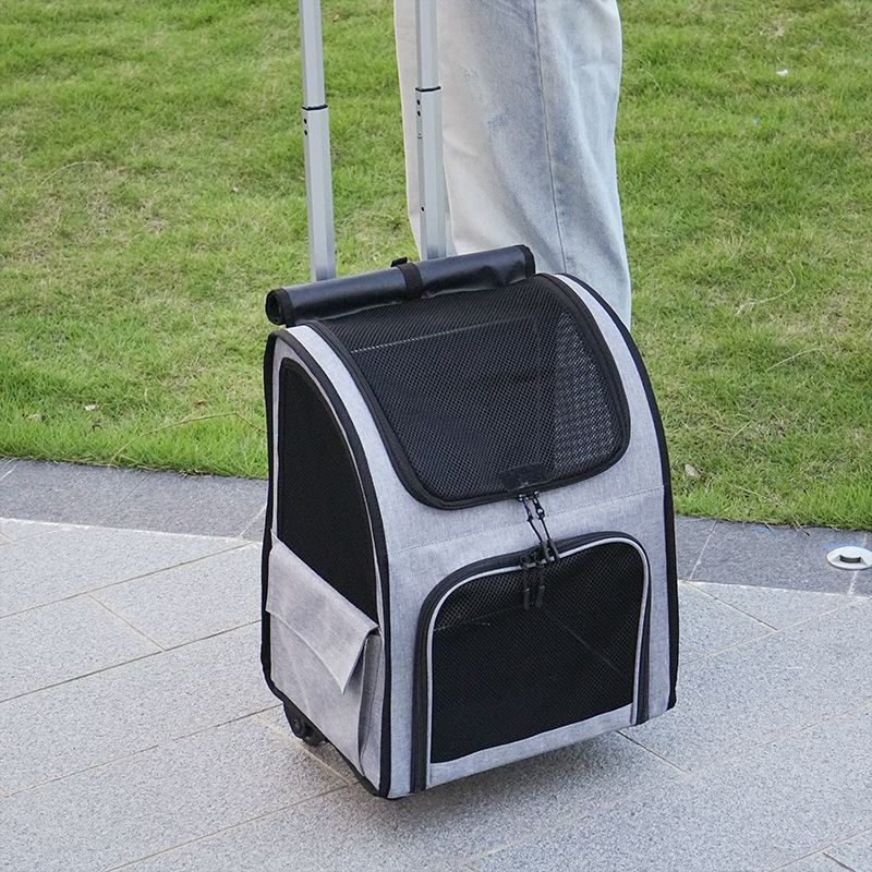 Light gray (Trolley)