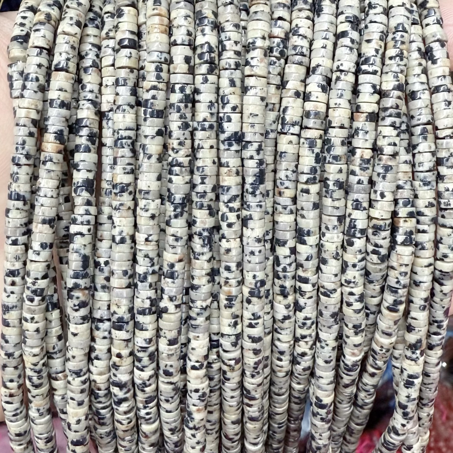 11 dalmatian