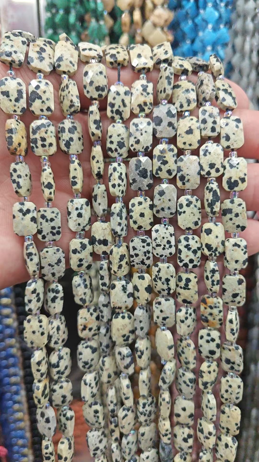 1 dalmatian dalmatian