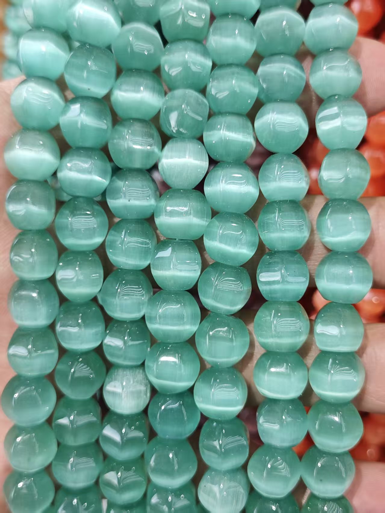 5:Color 5