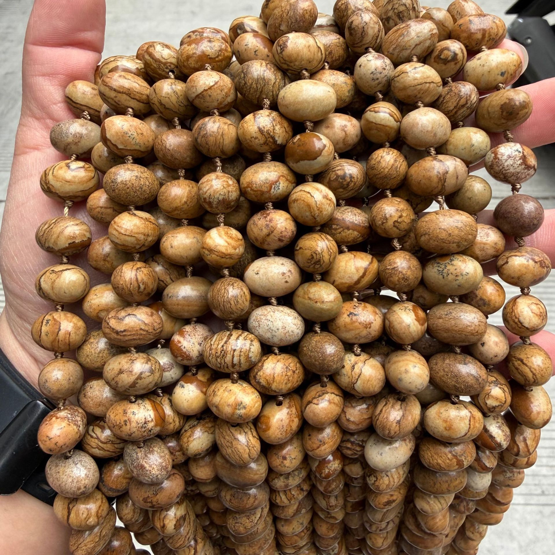 1:الصورة جاسبر
