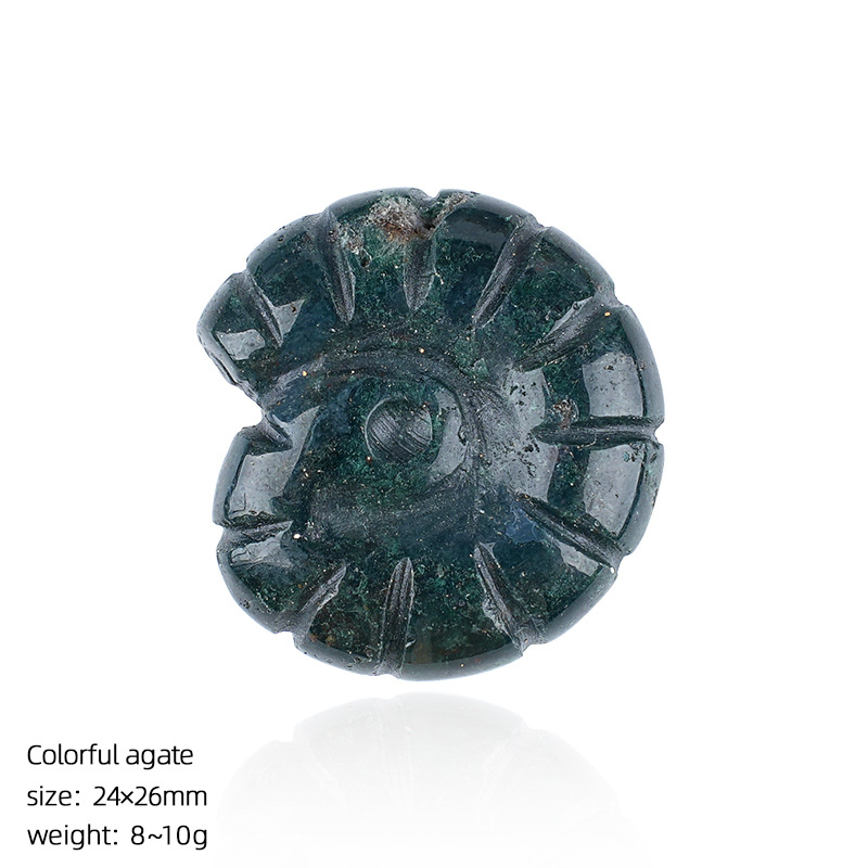 8:Indian agate carved conch