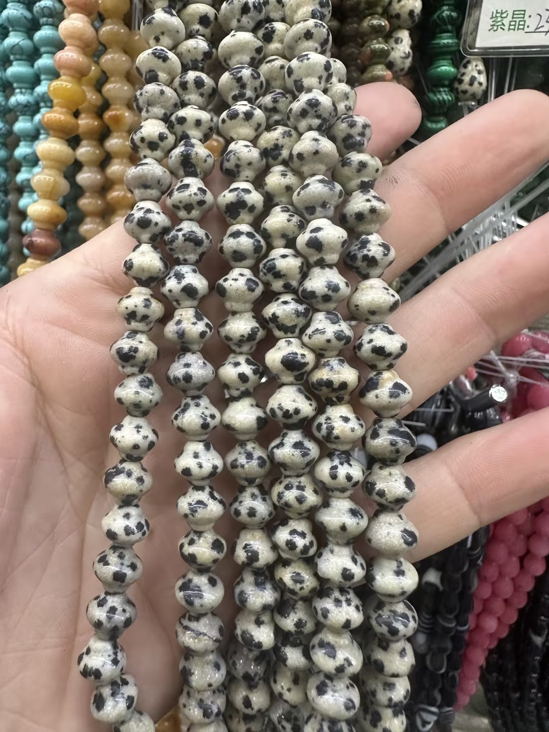 dalmatian