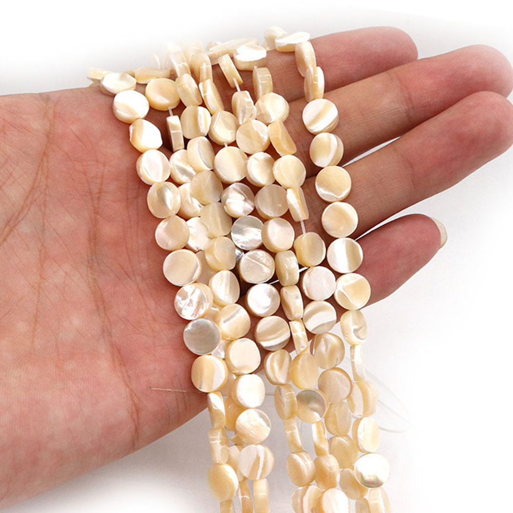 Trochus shell 8mm