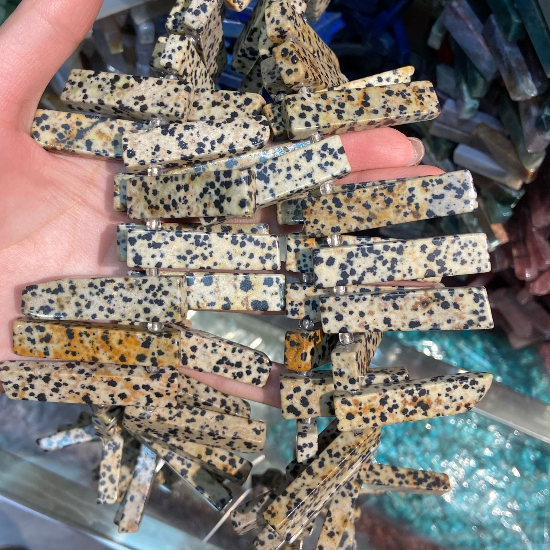 6 dalmatian