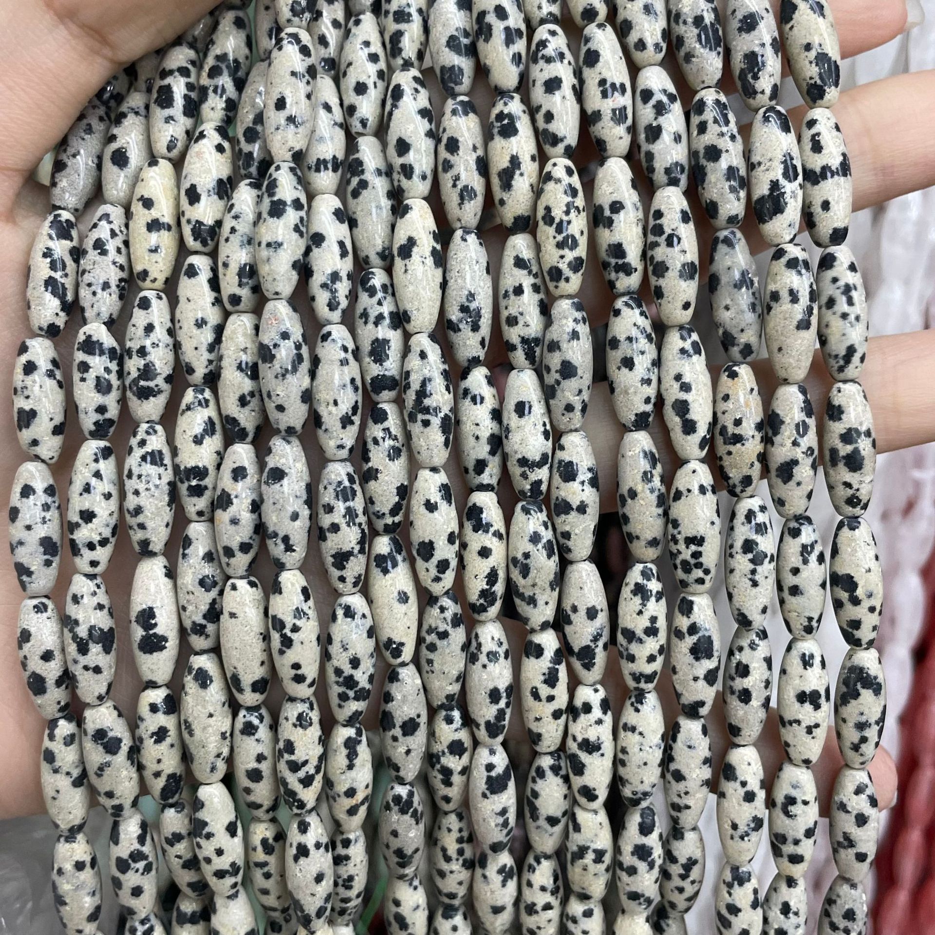 5:dalmata