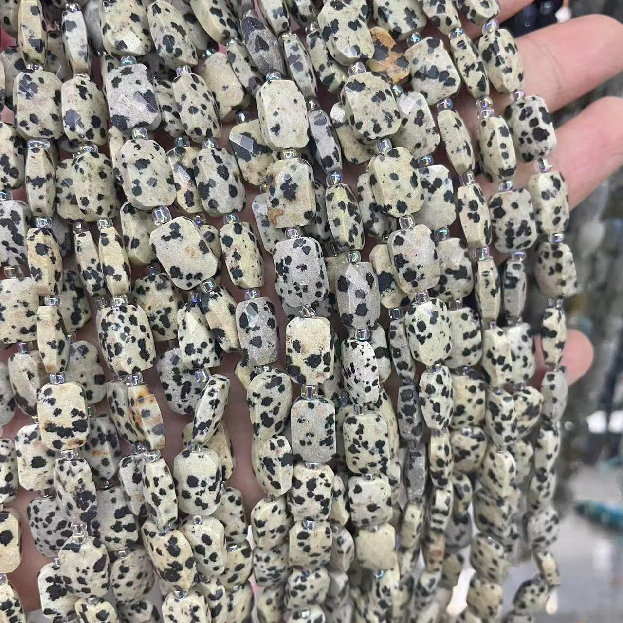 2:dalmata