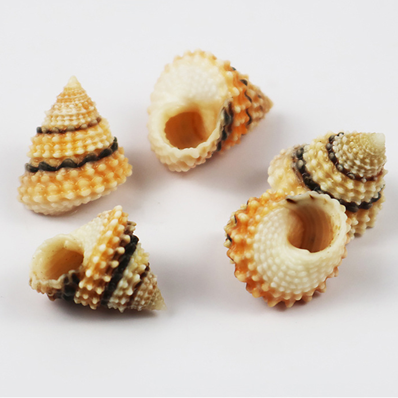 21:1.5- 2.5cm one golden pagoda jade corn snail