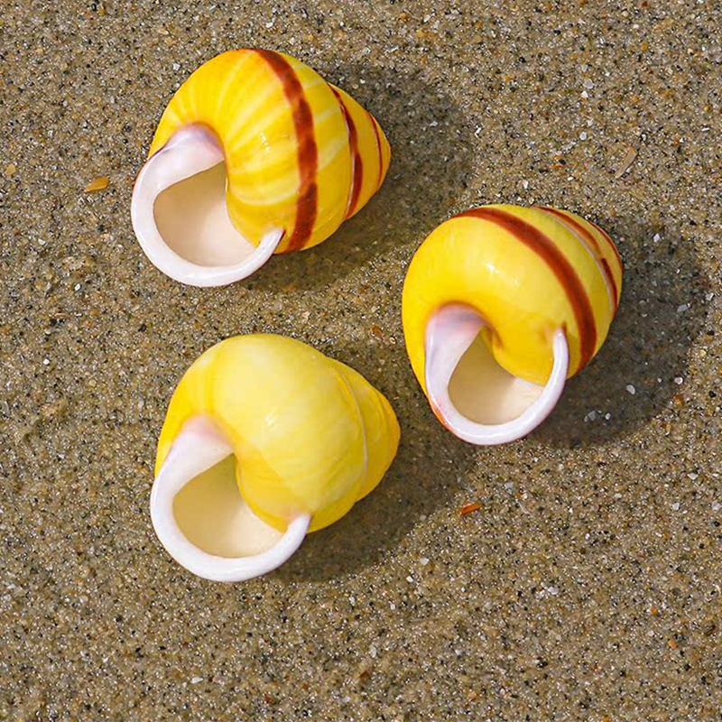 1.5- 2.2cm huangtian snail