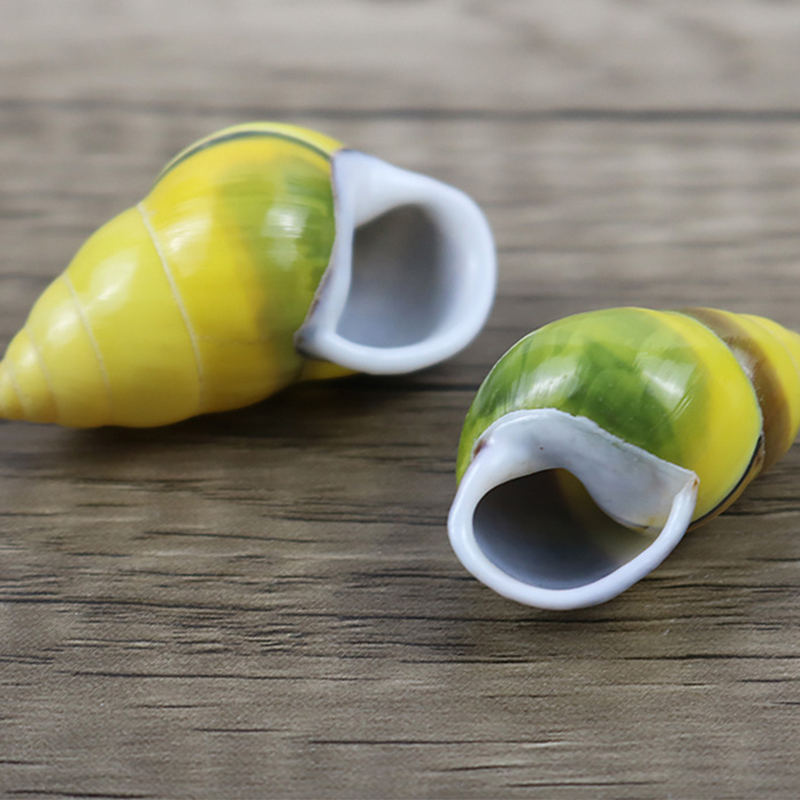 A pair of left and right snail shells 4- 5cm pair