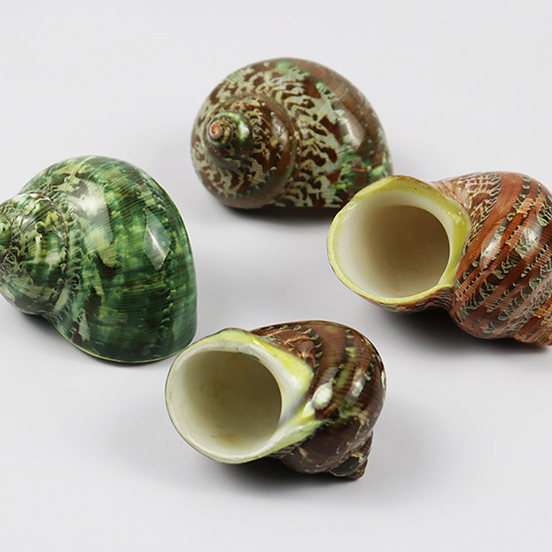 5- 6cm cat's eye snails
