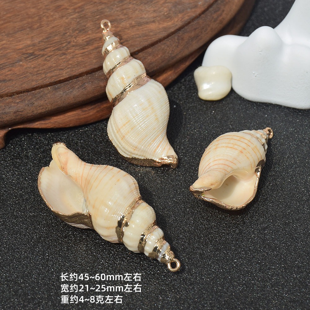 13:Dz176 (small conch)