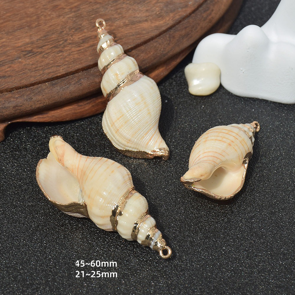 Dz176 (small conch)