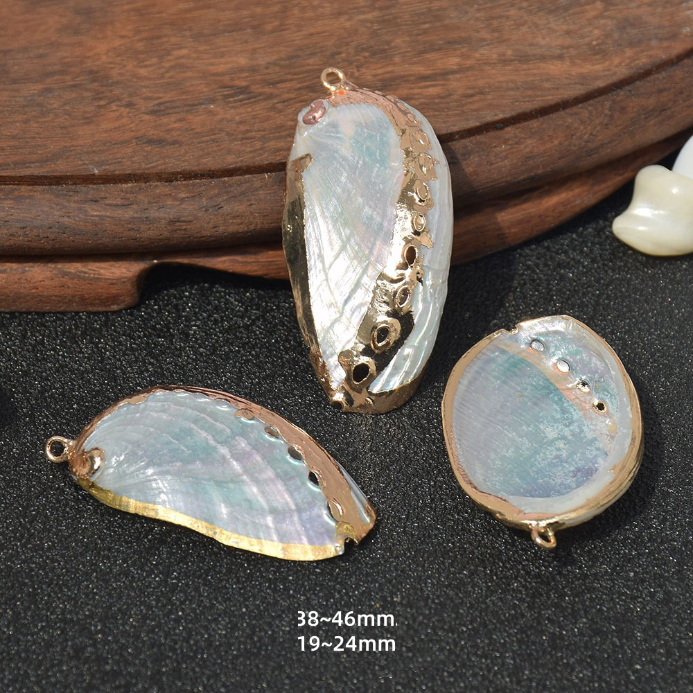 18:Dz176 (peeled abalone shell)