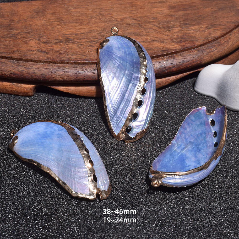 19:Dz176 (blue abalone shell)