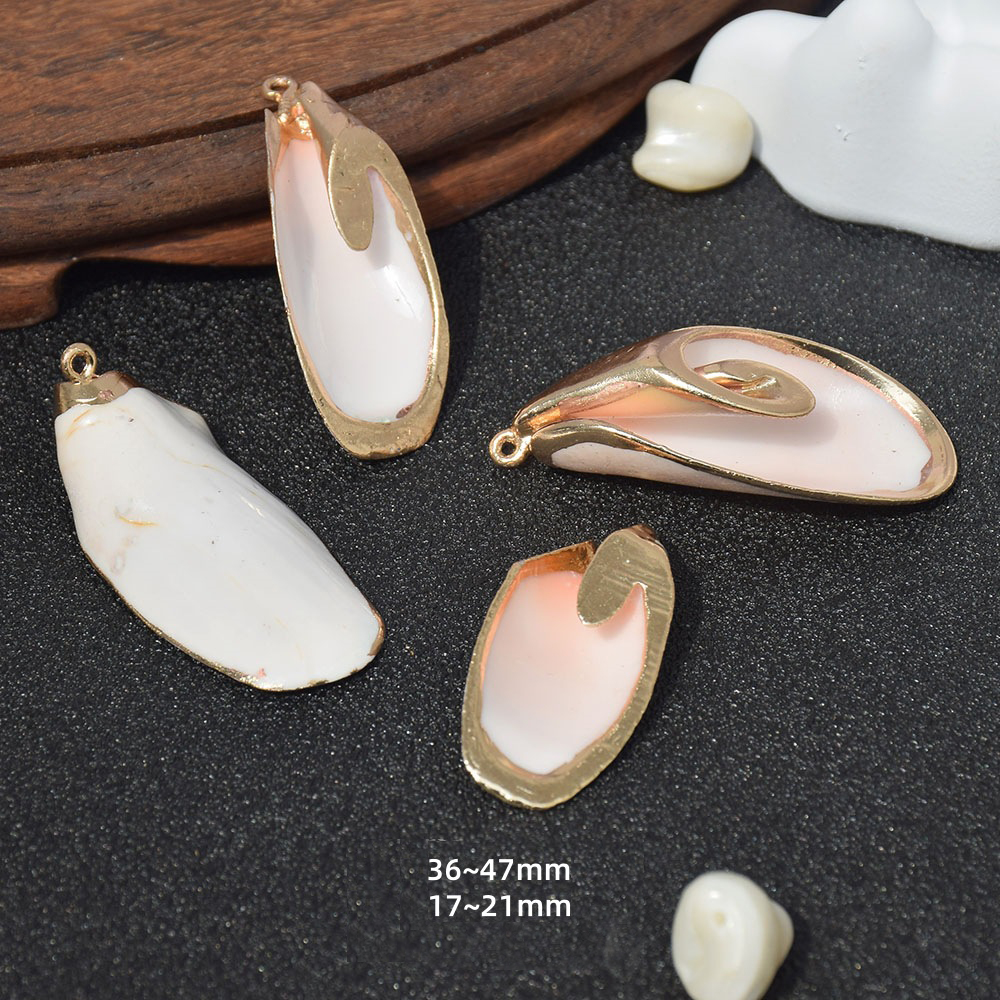 29:Dz176 (peacock shell)