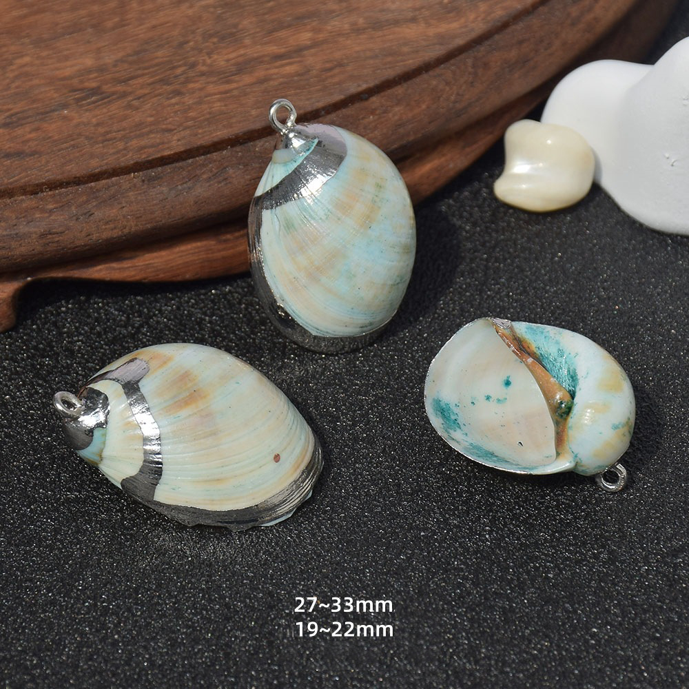30:Dz176 (snail) silver edge