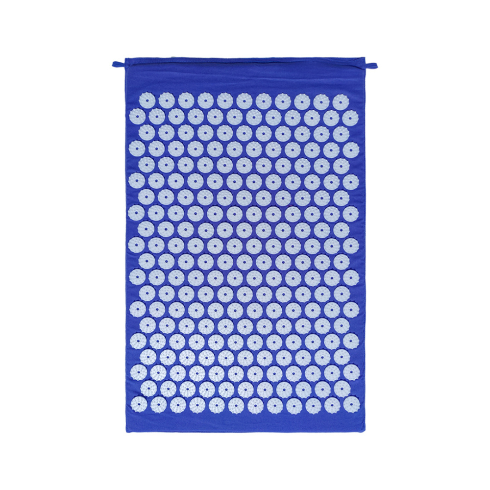 Round thorn blue cushion