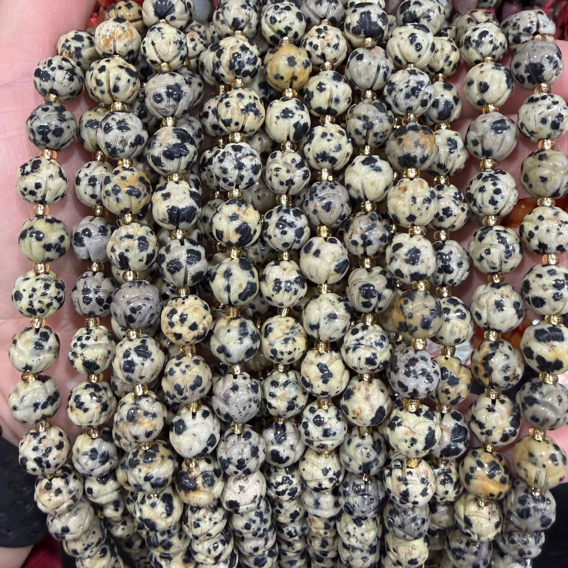 1 dalmatian