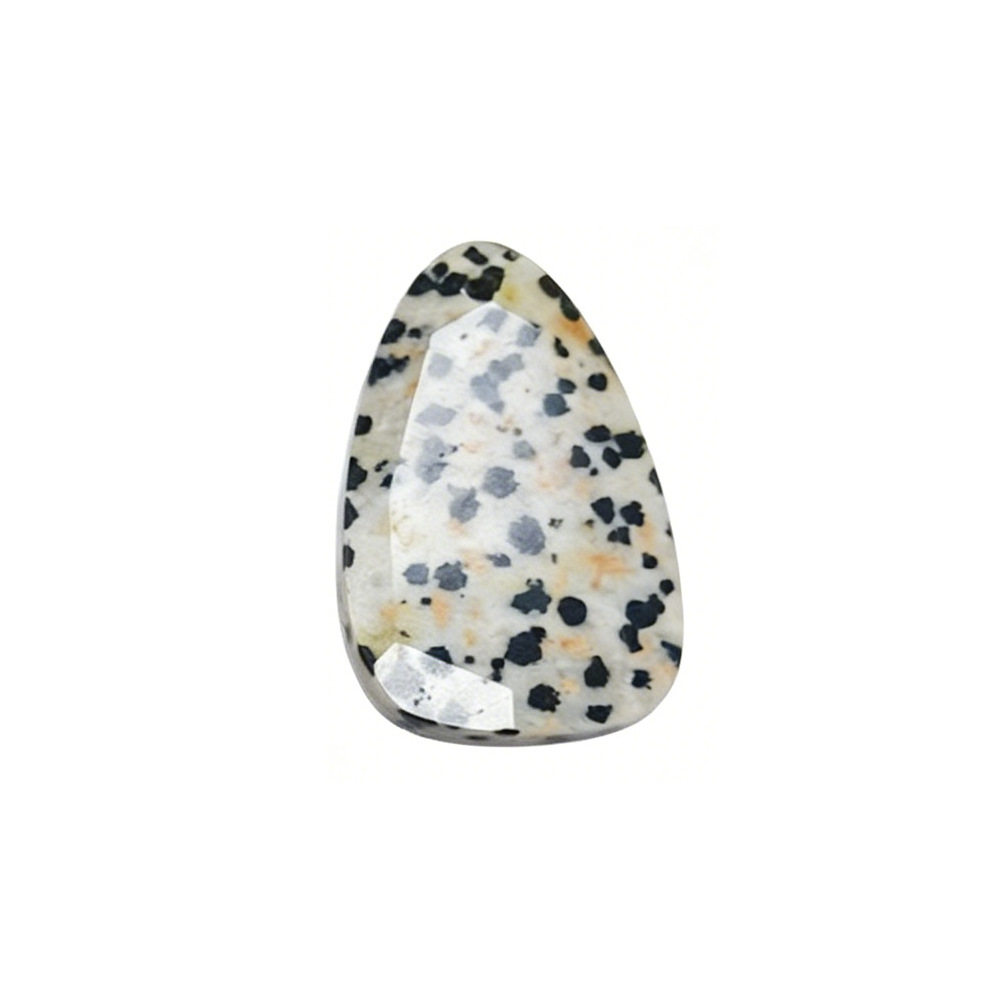 7:dalmatian