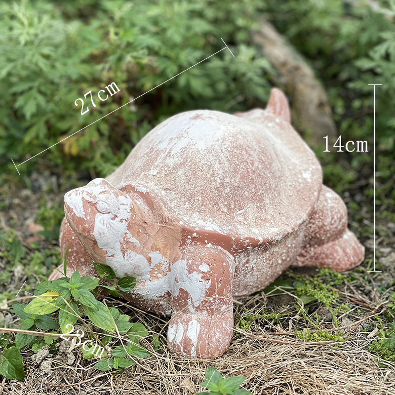 Tortoise