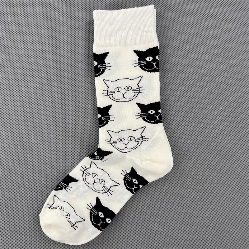 Black and white cat