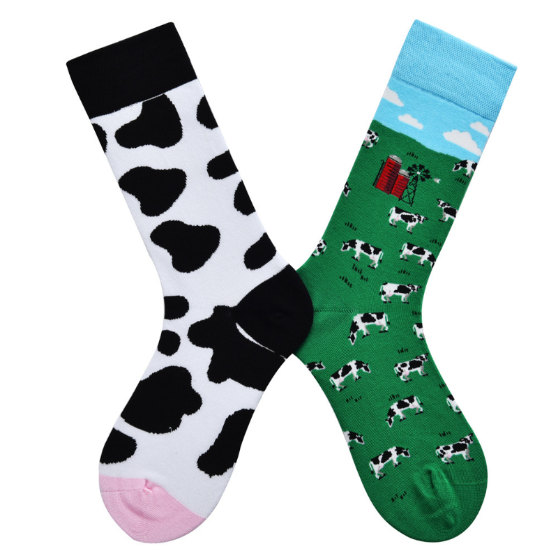 Cow ranch