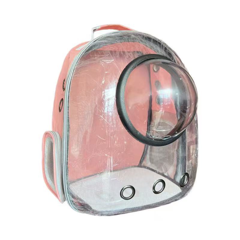 Transparent skylight pink