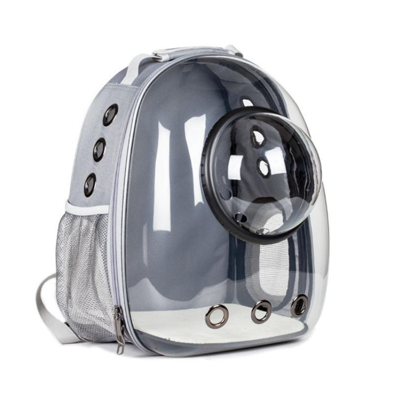 Transparent skylight Gray