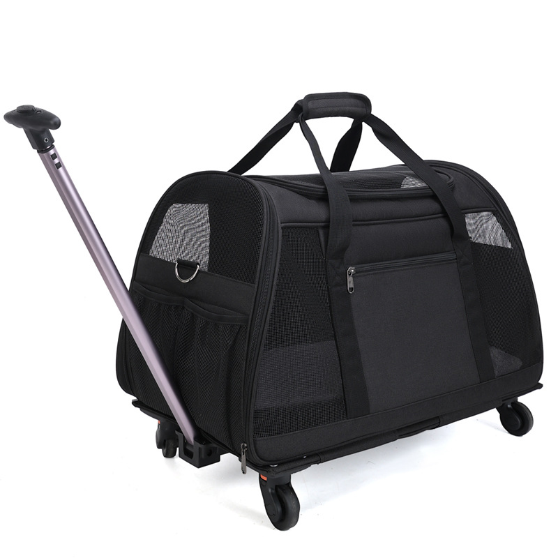 Black-detachable pull rod version