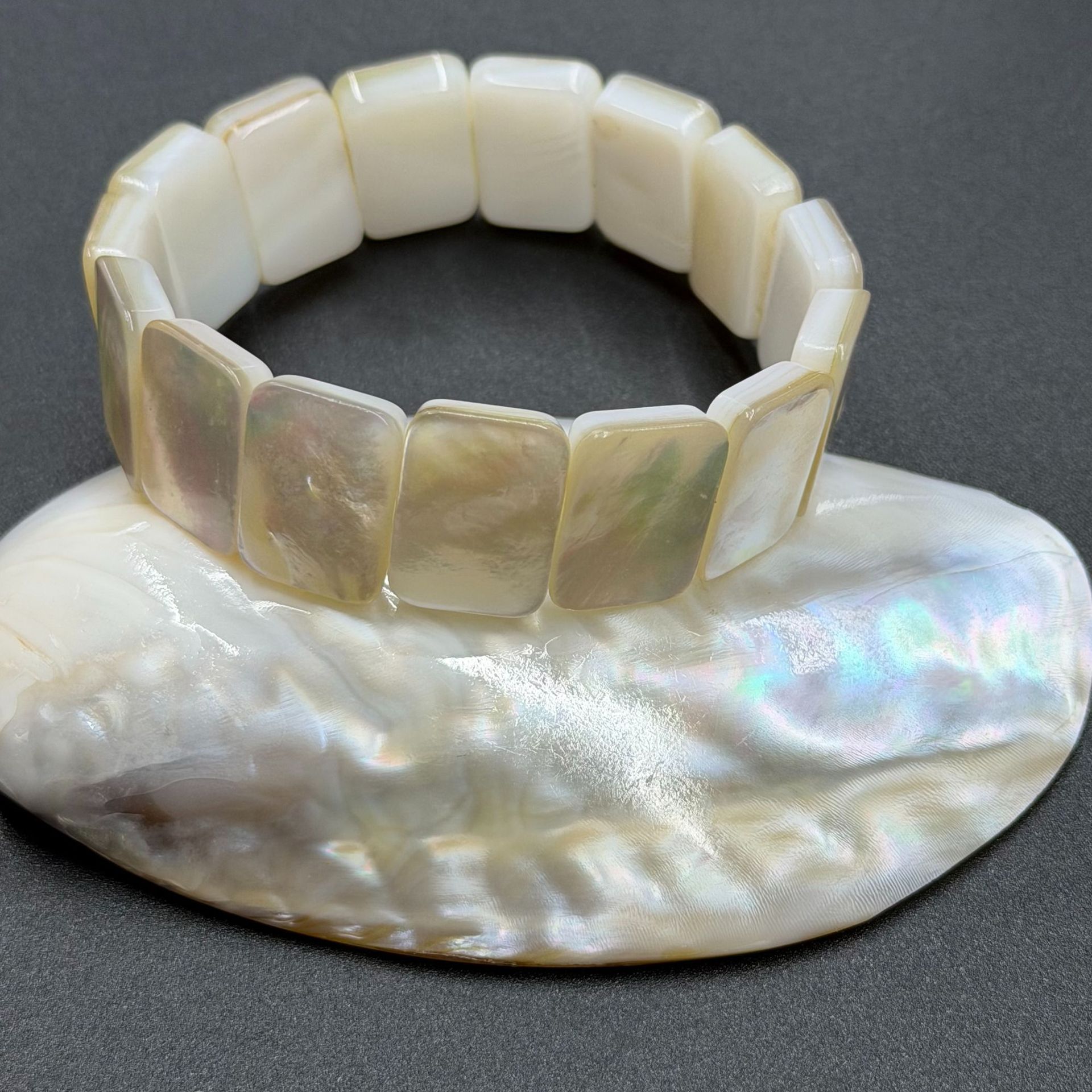 White Lip Shell