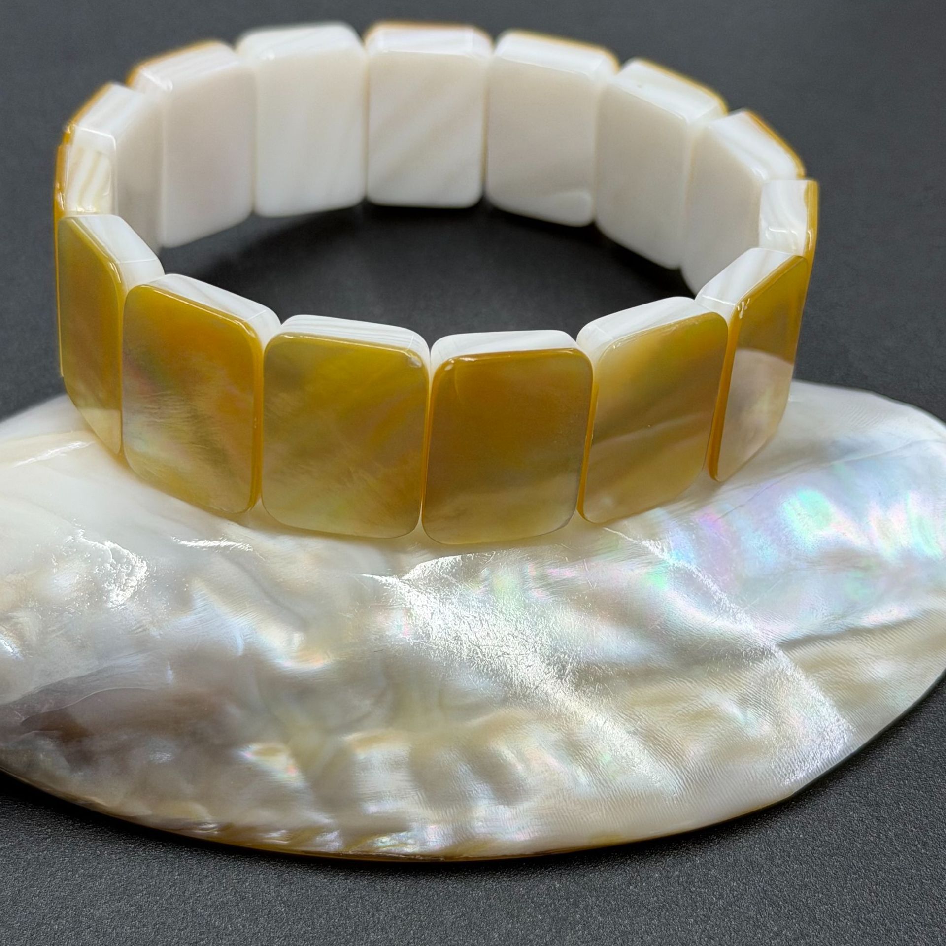 3:yellow Lip Shell