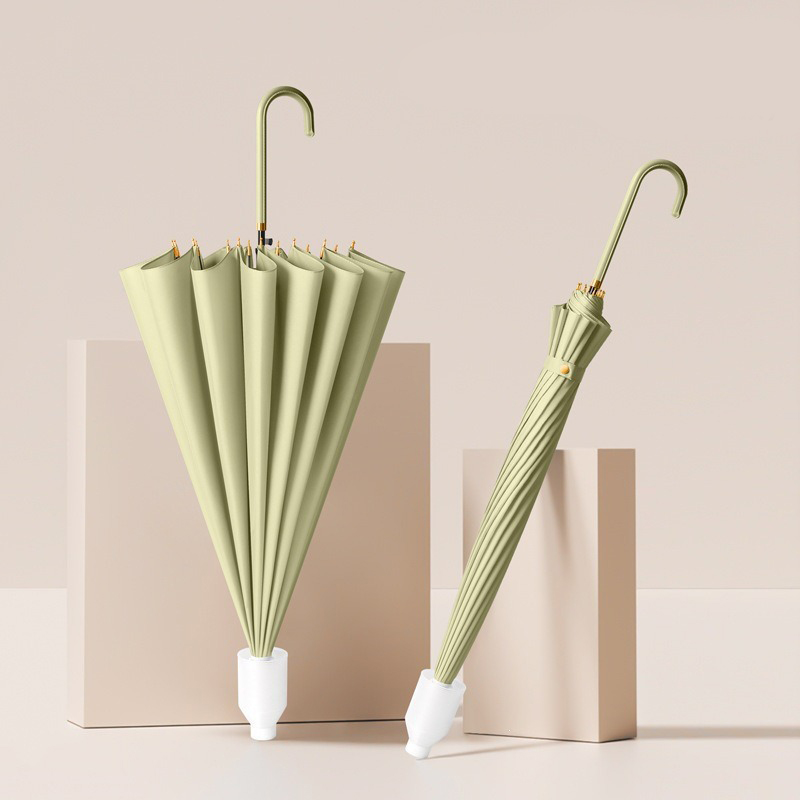 matcha green 16 bones