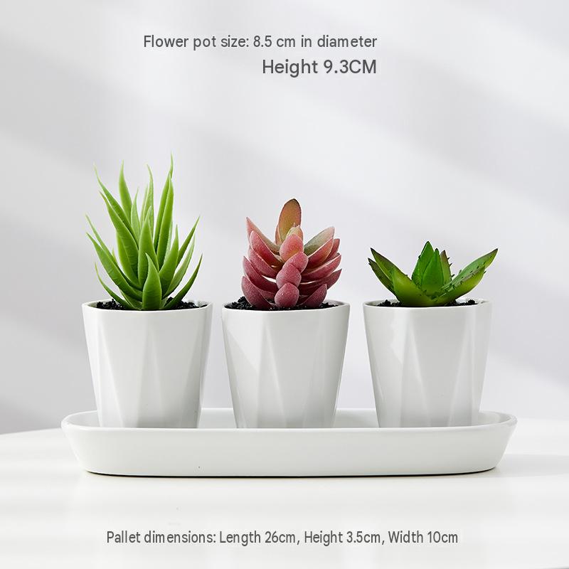 Matt White geometric pattern (without plants)