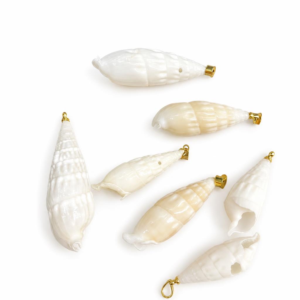 1:Bullet snail-gold buckle