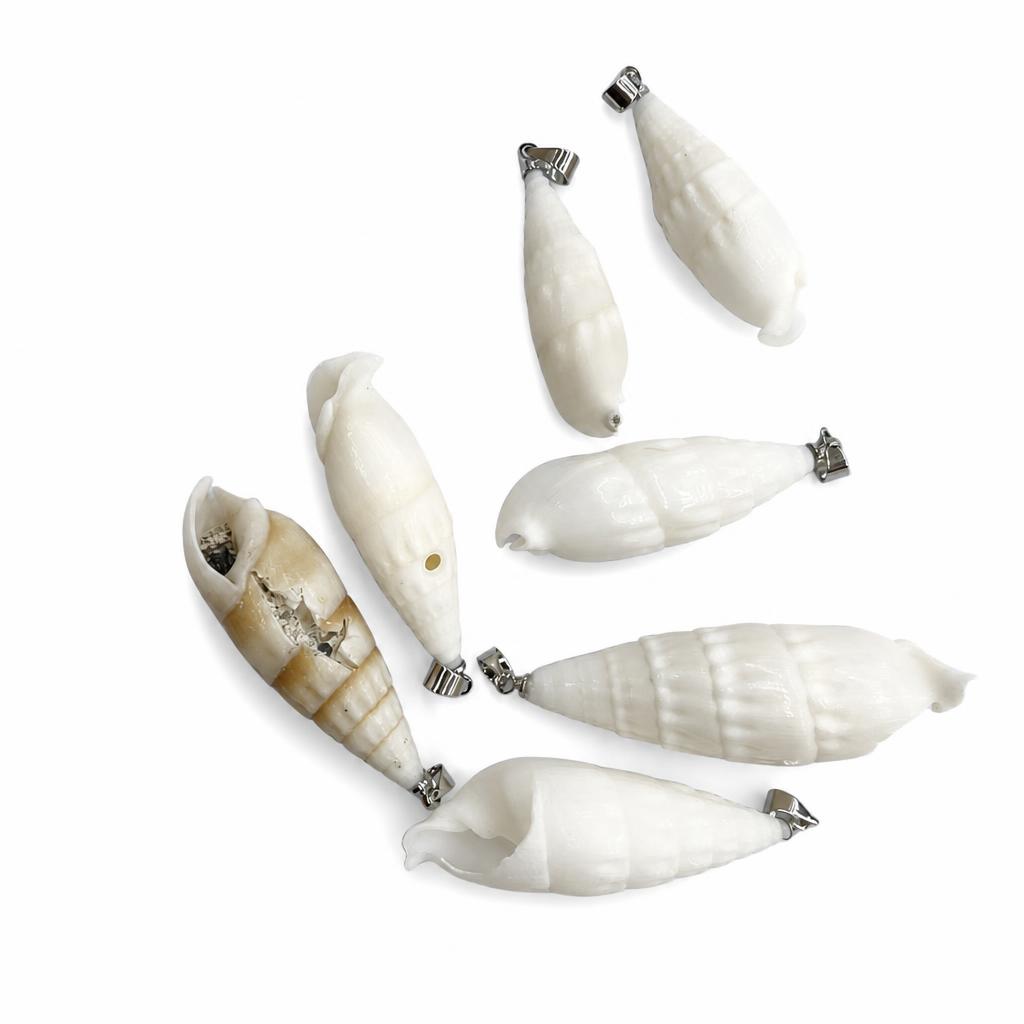 2:Bullet snail-silver buckle