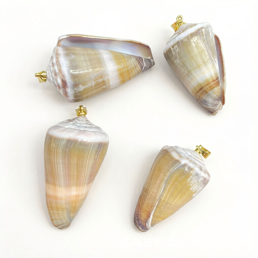 3:Conch-golden buckle