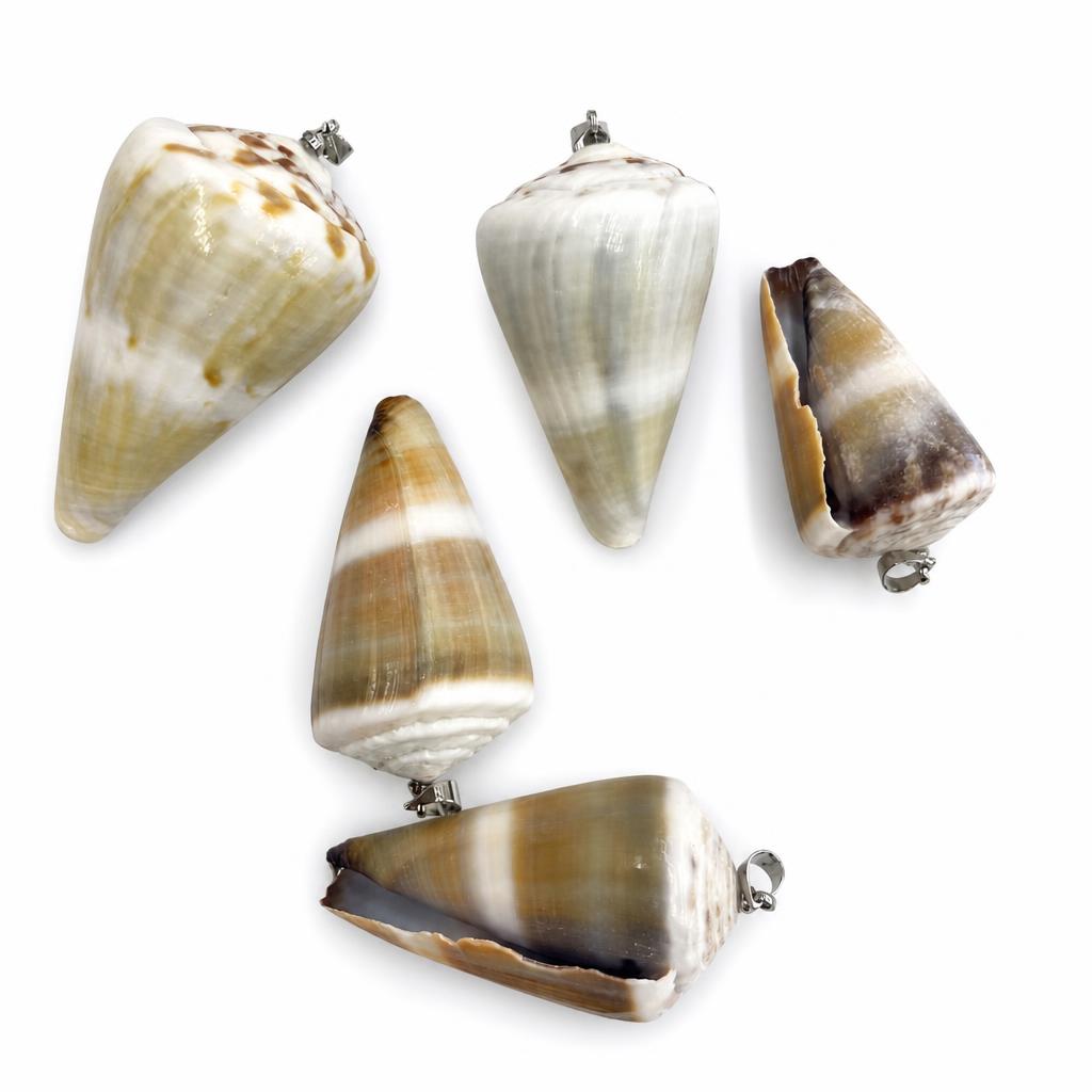 4:Conus-silver buckle