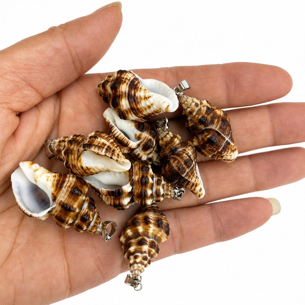 9:Black spicy snail-silver buckle