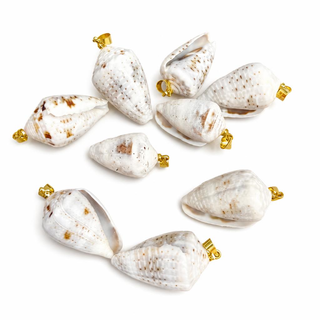 10:Chicken heart conch-golden buckle