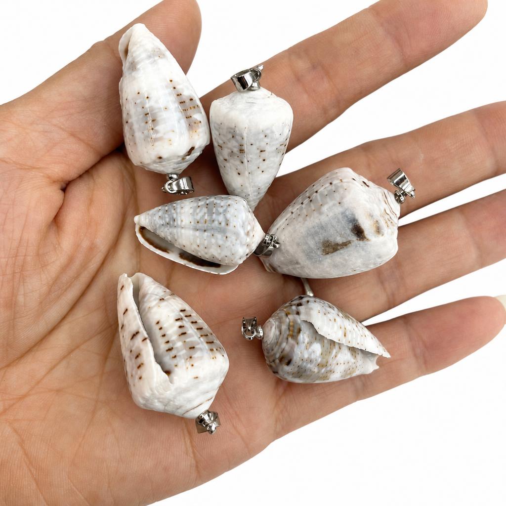11:Chicken heart conch-silver buckle