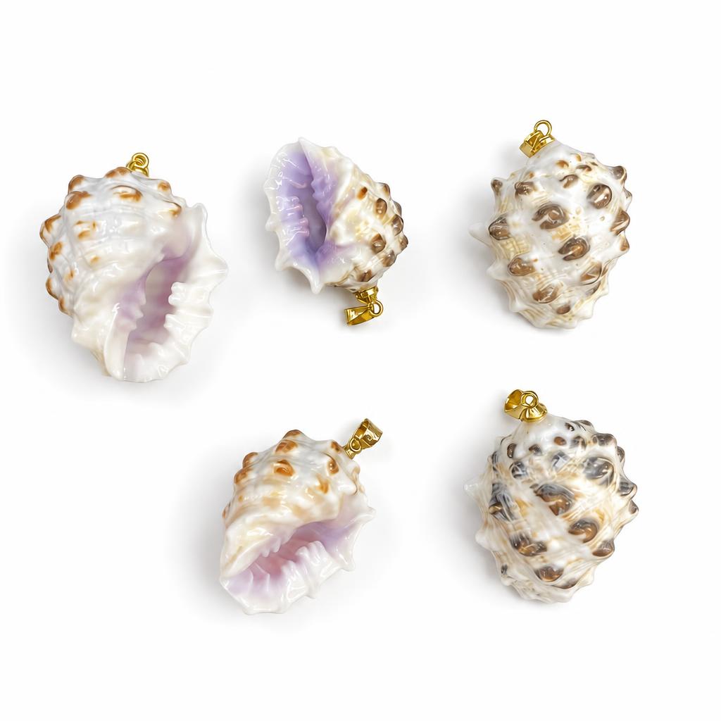 14:Purple-mouthed fist snail-golden buckle