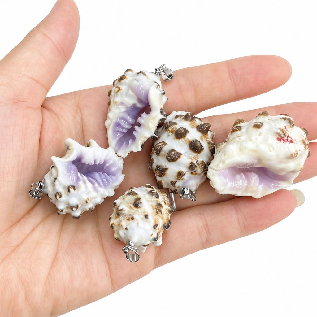 15:Purple-mouthed conch-silver buckle