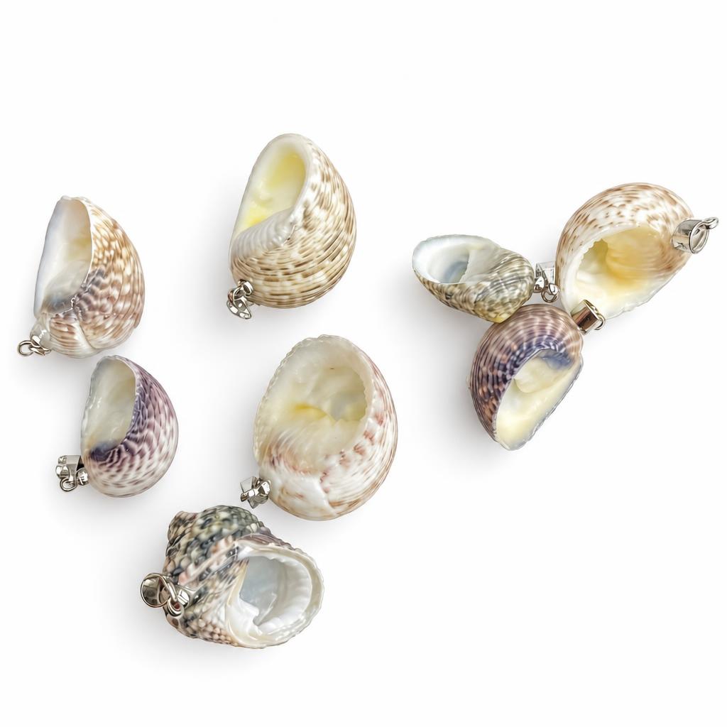 18:Snail conch-silver buckle